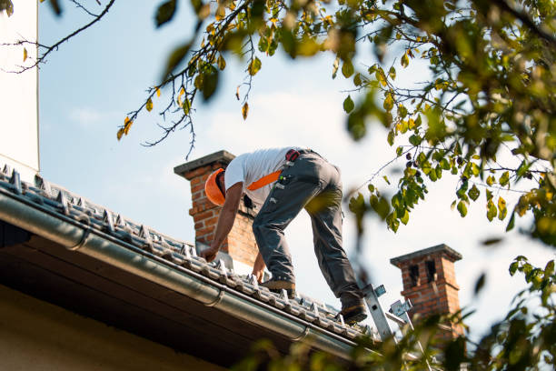 Best Shingle Roofing Installation  in Osage City, KS