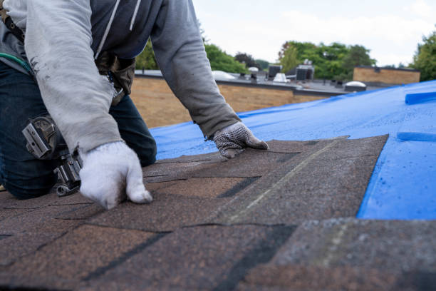 Best Roof Repair Specialists  in Osage City, KS